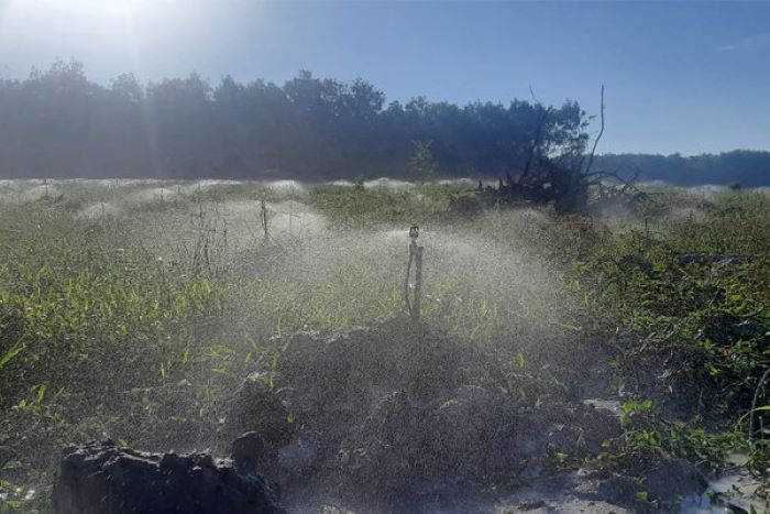 BÉC TƯỚI PHUN MƯA ĐỒNG BẰNG BÉC TƯỚI PHUN MƯA ĐỒNG BẰNG